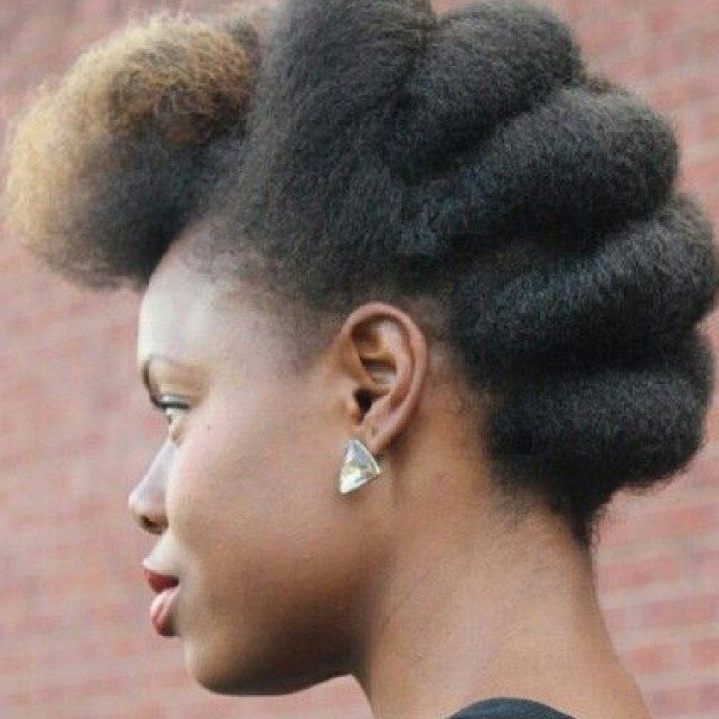coiffure africaine cheveux naturel